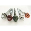 100 Stück Trapezblechschrauben 4,8x20 mm...